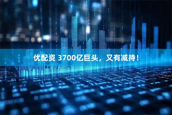 优配资 3700亿巨头，又有减持！