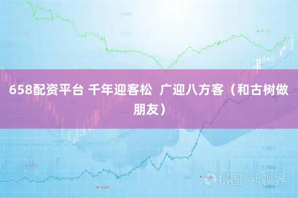 658配资平台 千年迎客松  广迎八方客（和古树做朋友）